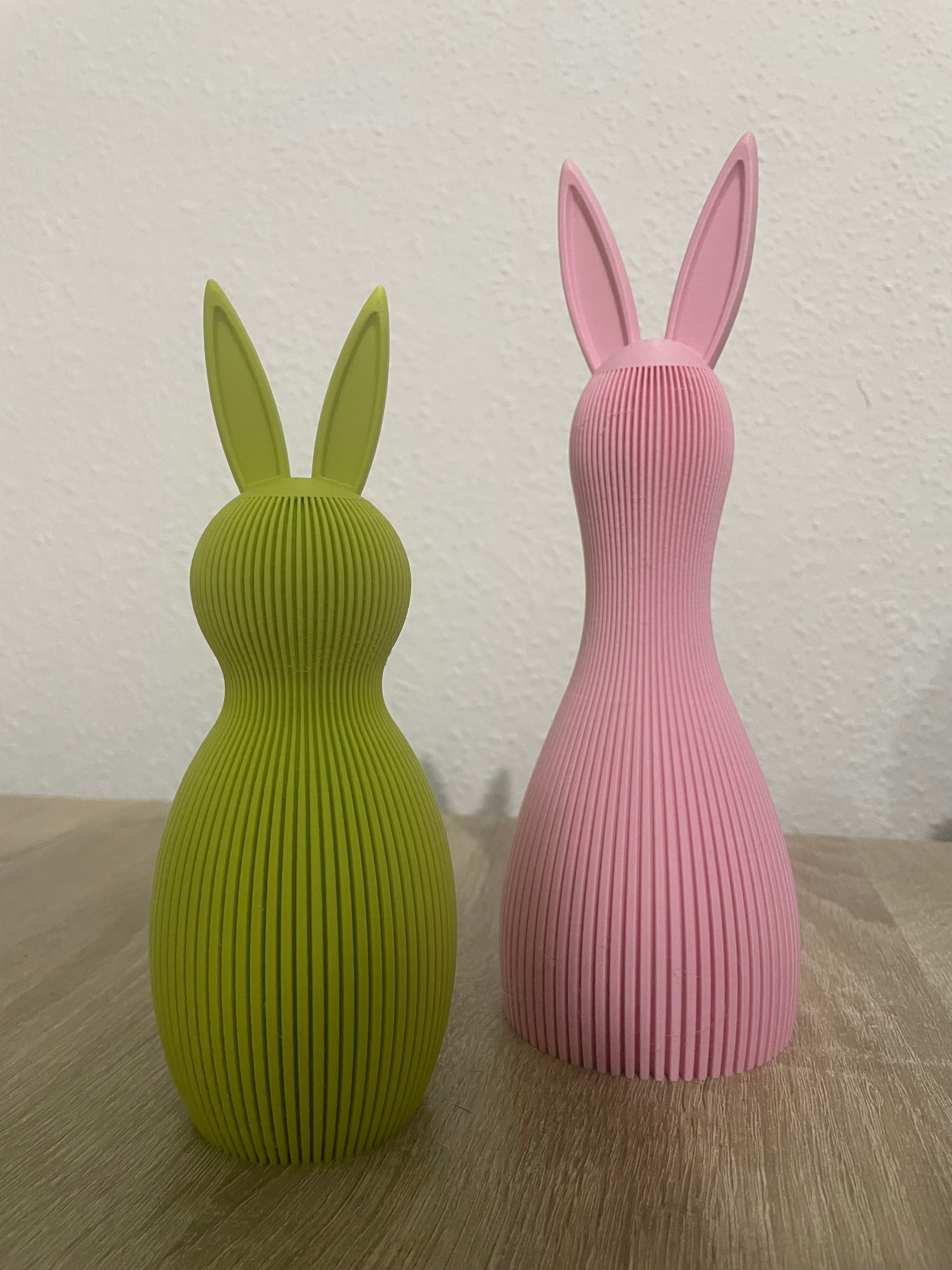 Hush Bunnies 3d model