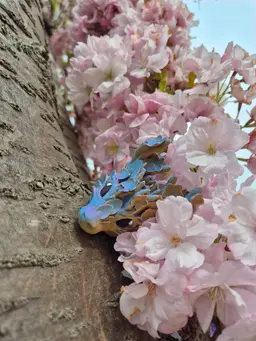 Beautiful Cherry Blossom Baby dragon in my Cherry Blossom Tree :D
Ziro Matte PLA Purple Sunset 3d model