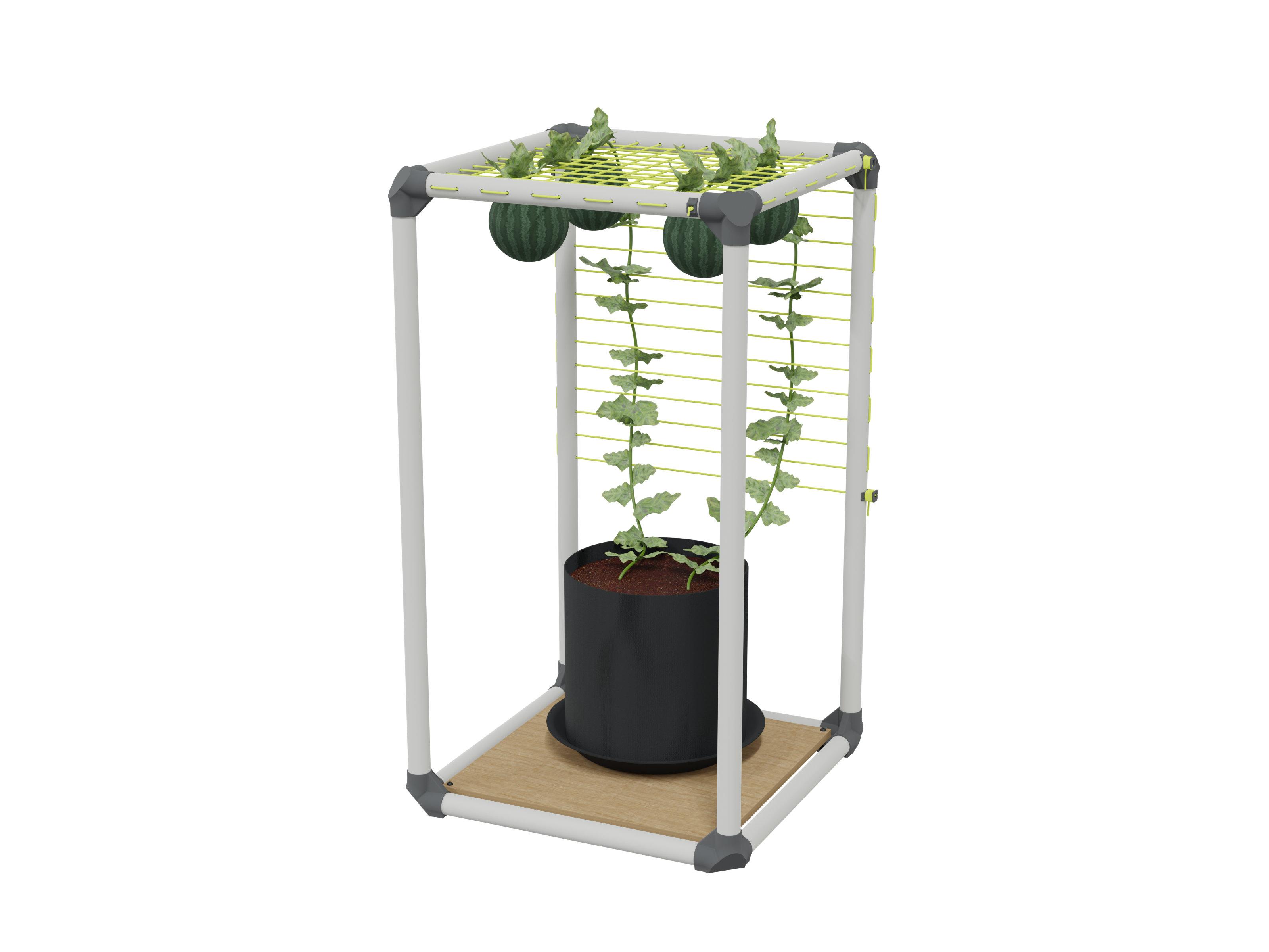 Plant Trellis 3d model