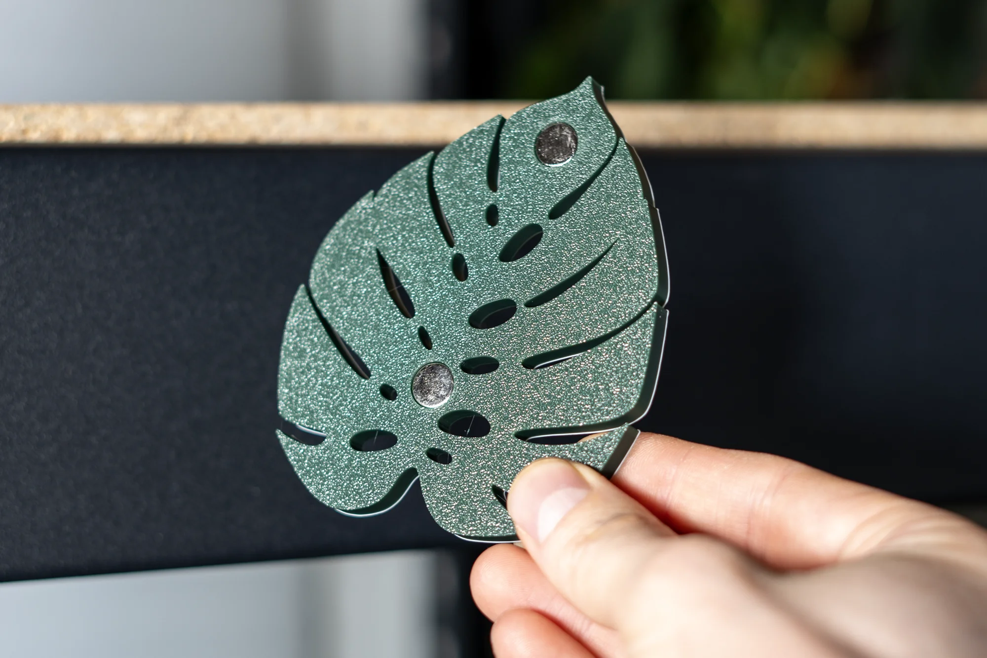 Monstera Leaf Magnet 3d model