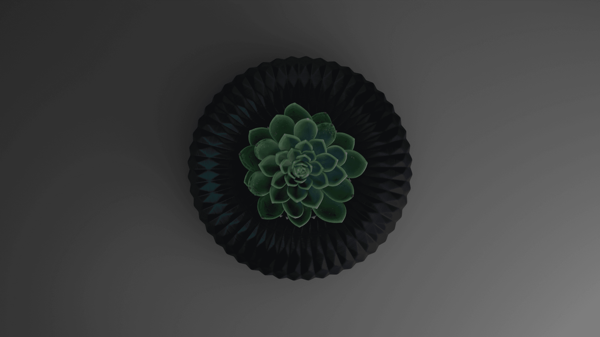 Thistle 3d model