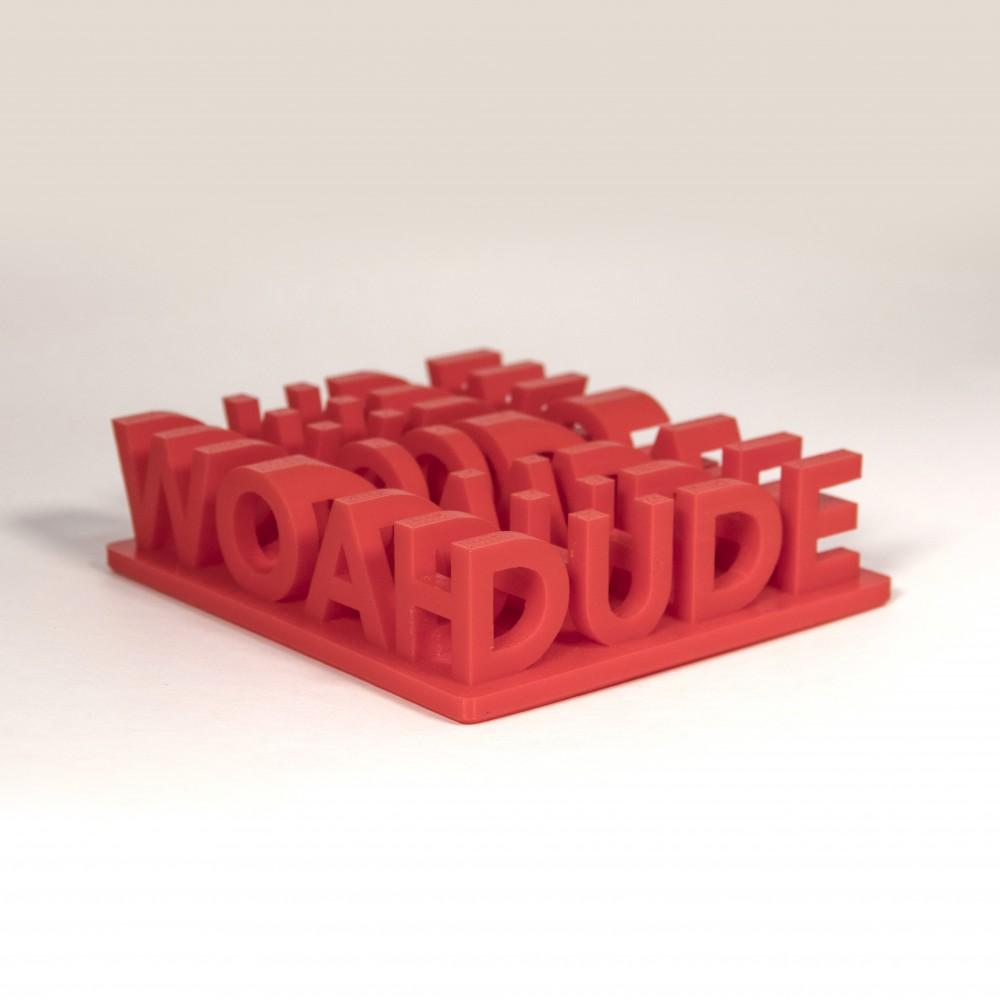 WOAH ⇨ DUDE // P.O.V. Illusion 3d model