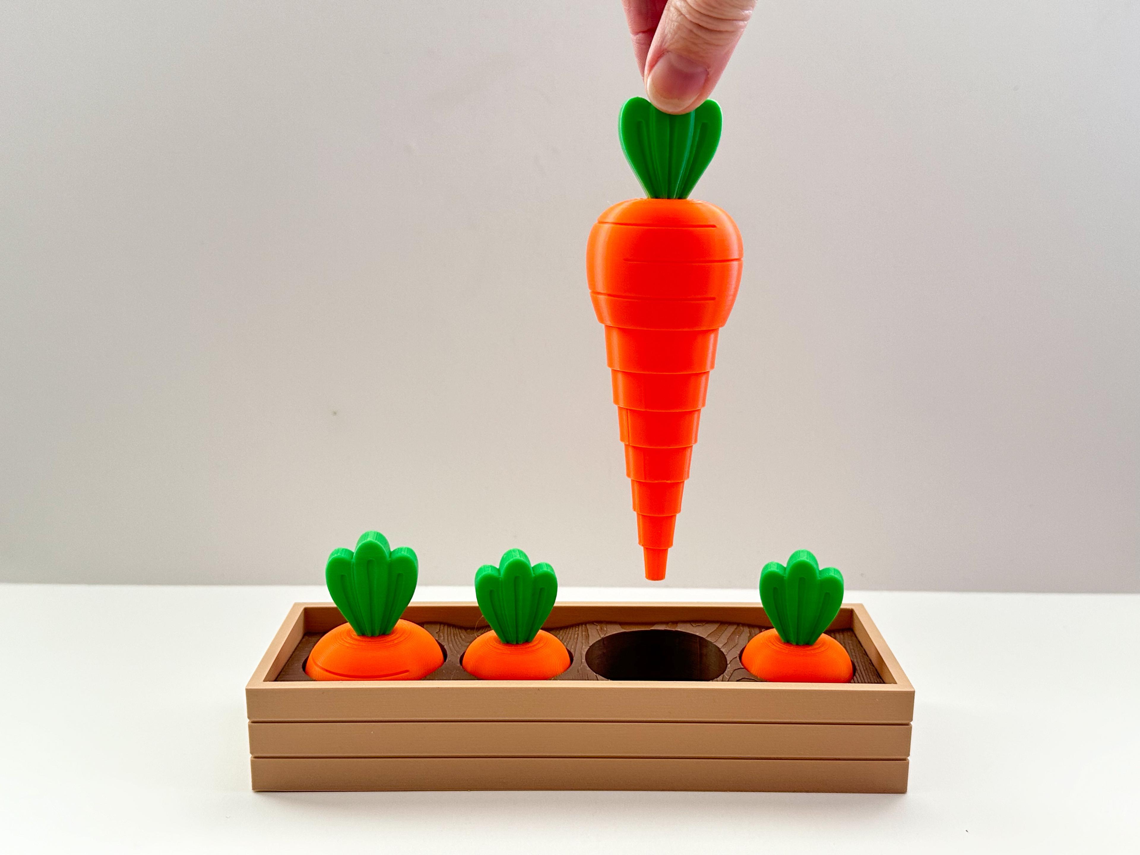 Carrot Garden 3d model