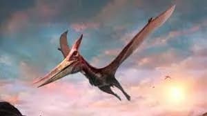 pteranodon 3d model