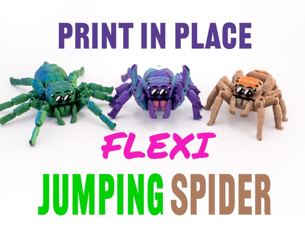 Flexi Jumping Spider 3d model