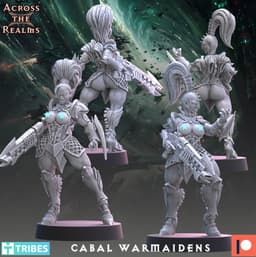 Cabal Warmaidens 3d model