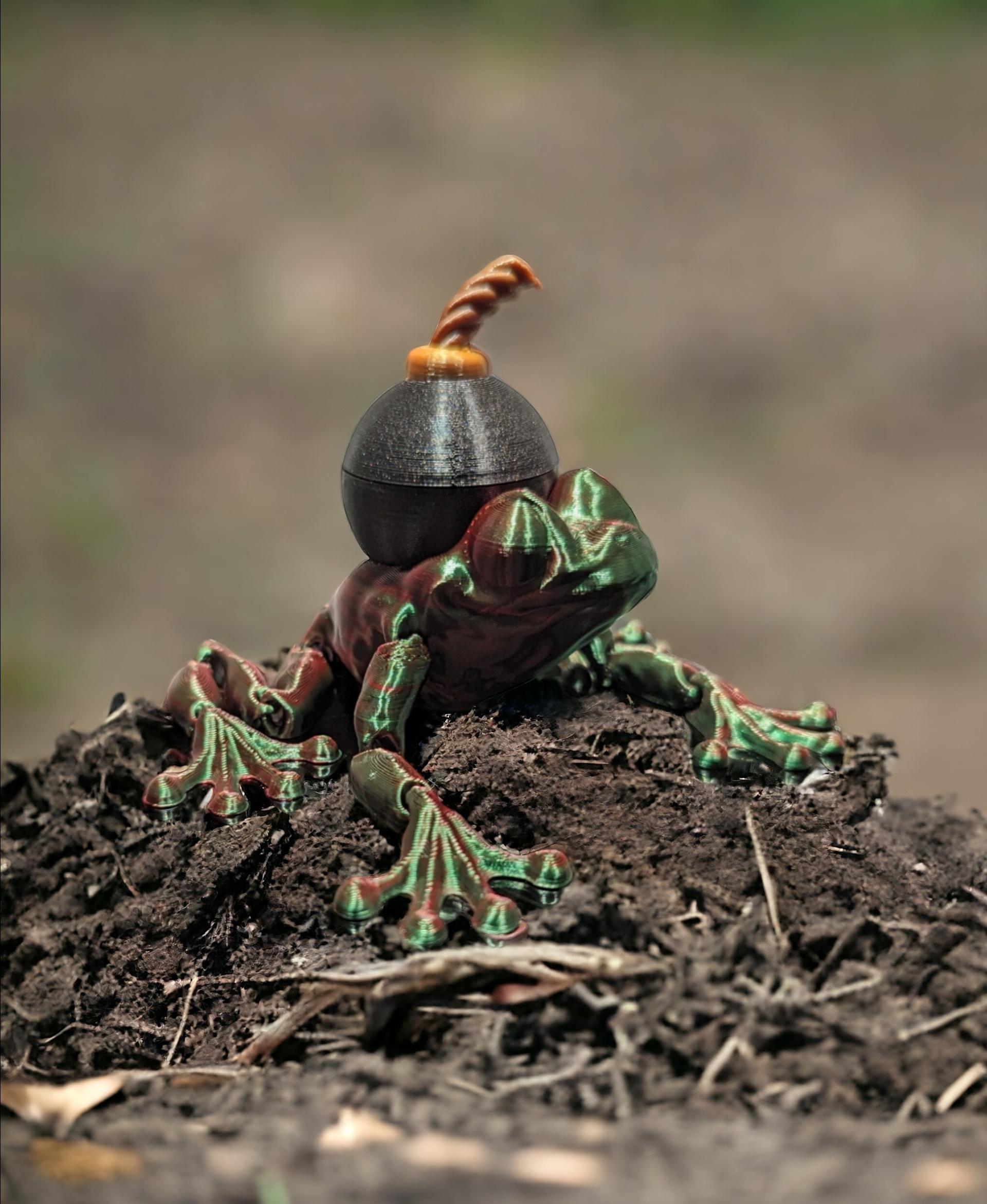 BOMB FROG ARTICULATION - Awesome print - 3d model