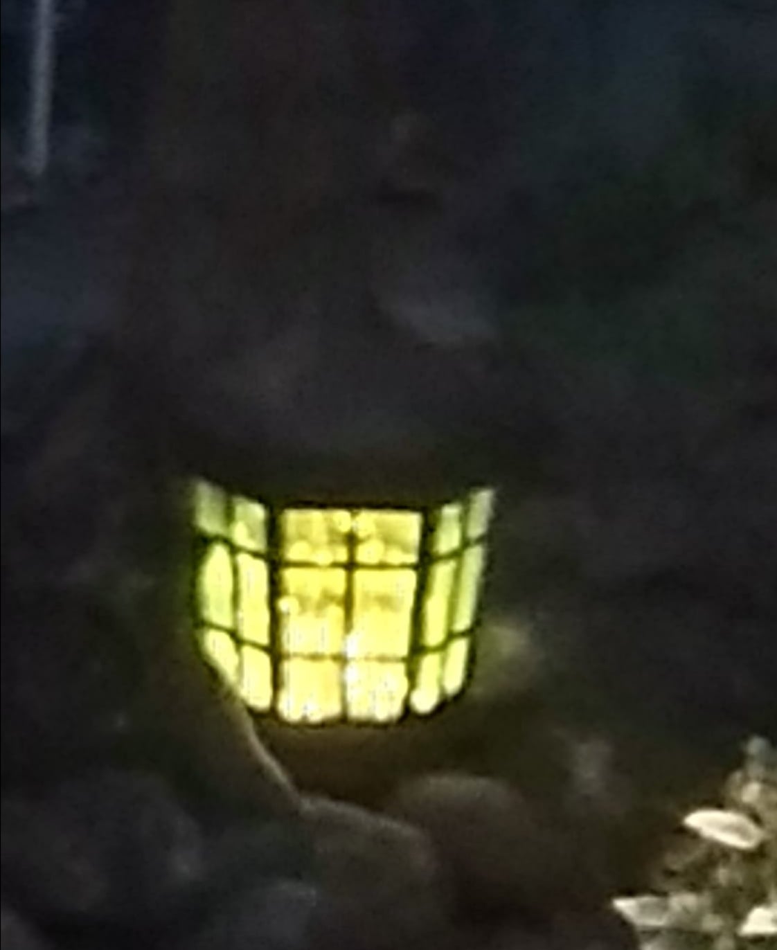 Sorry about the ick it's in the garden lit up 😆
