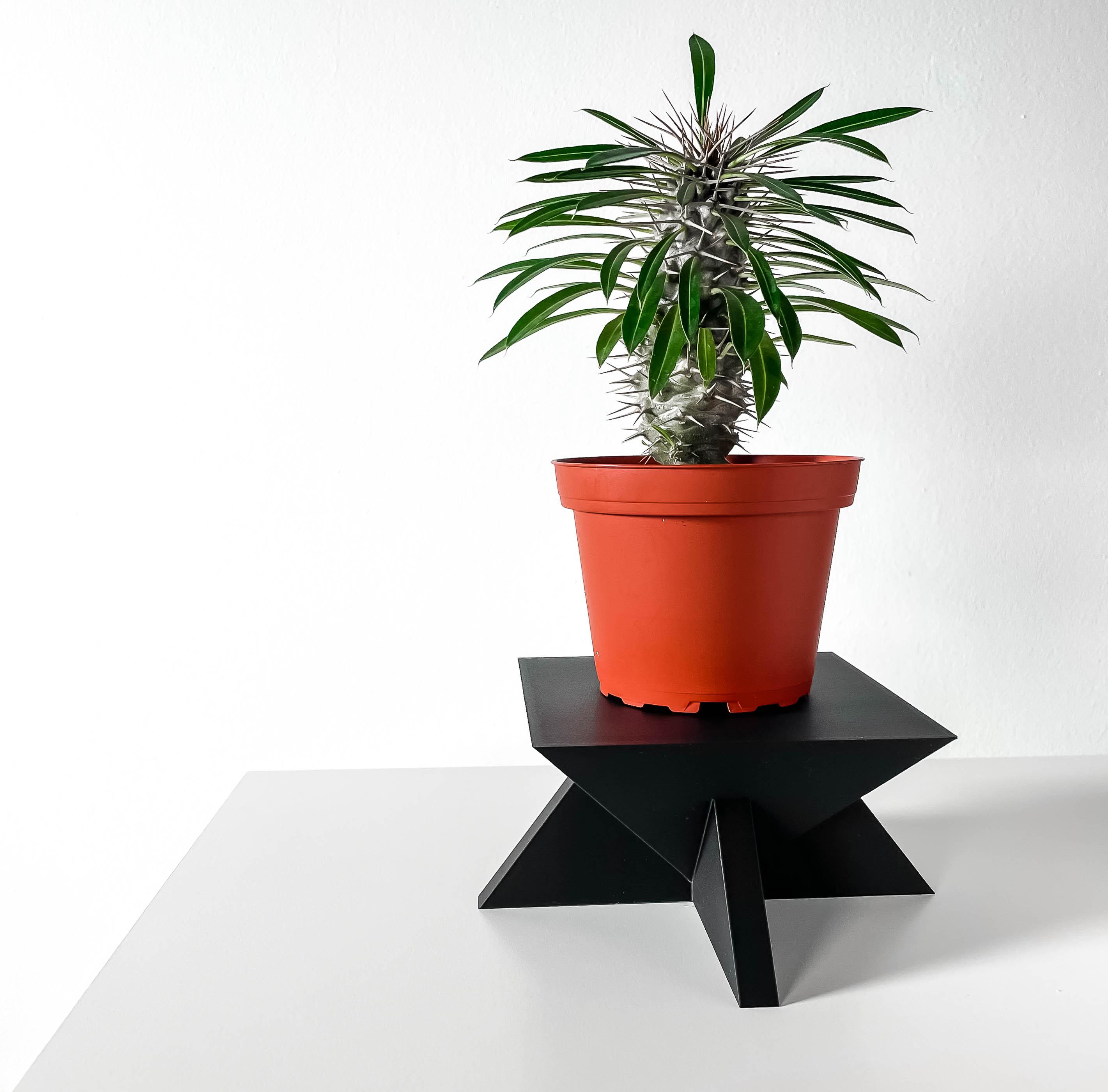 The Jones Display Stand for Planters and Decor | Modern and Unique Home Decor 3d model