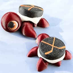 Sports Baby Turtles - Hockey - Soccer - Basketball - Articulated Flexi 3d model