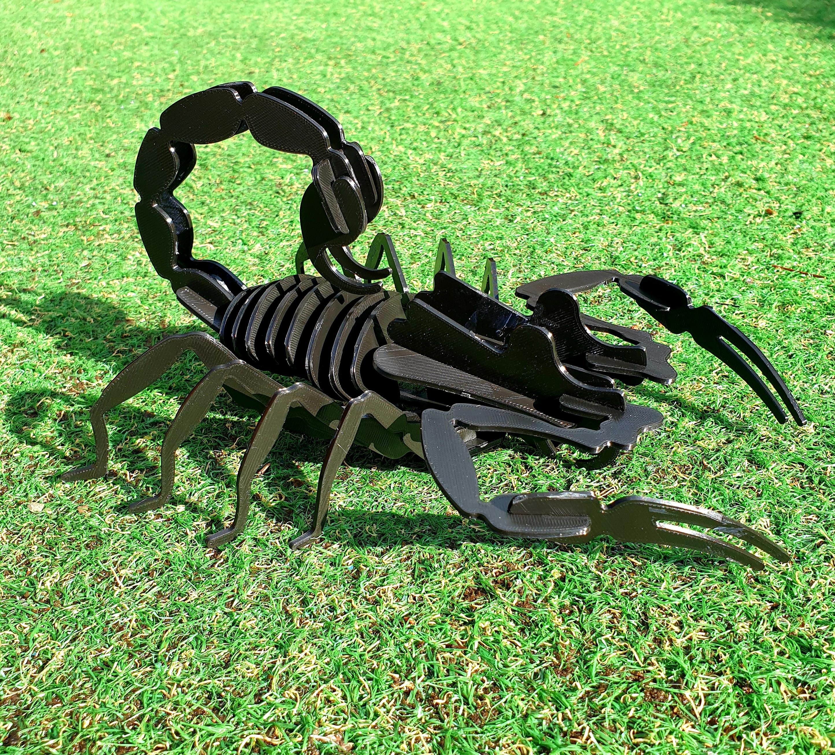 Scorpion kitcard puzzle 3d model