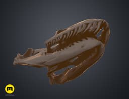 Python Snake Skull 3d model
