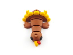 Turkey 3d model