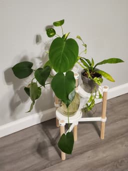 Tri-Pot Plant Stand 3d model