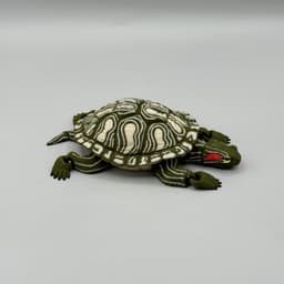 Articulated Red-Eared Slider Turtle | Pre-Painted + Optional 6mm Glass Eye Version 3d model