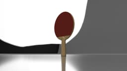 Ping Pong Paddle 3d model