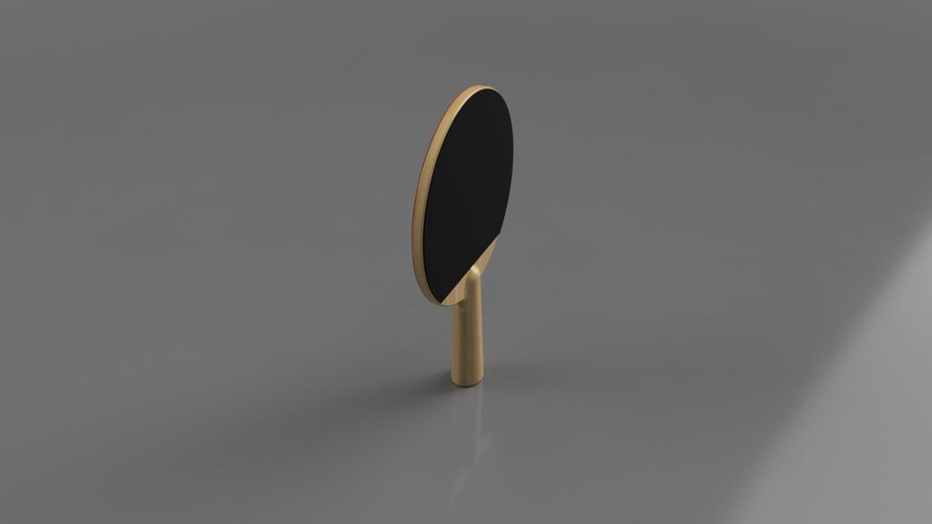 Ping Pong Paddle 3d model