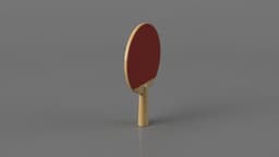 Ping Pong Paddle 3d model