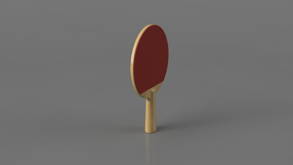 Ping Pong Paddle 3d model