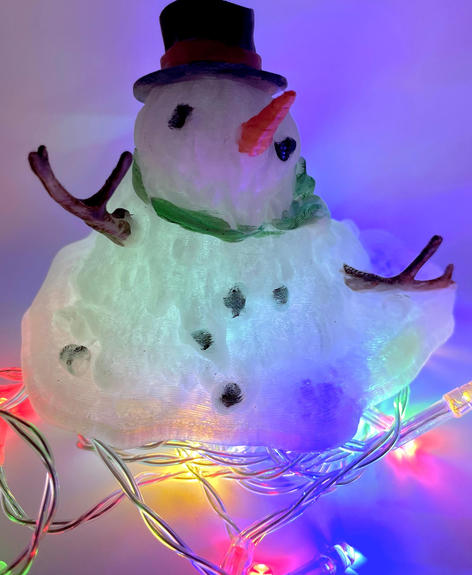 Aussie Snowman  - So fun to play with a "natural" filament and lights!  - 3d model