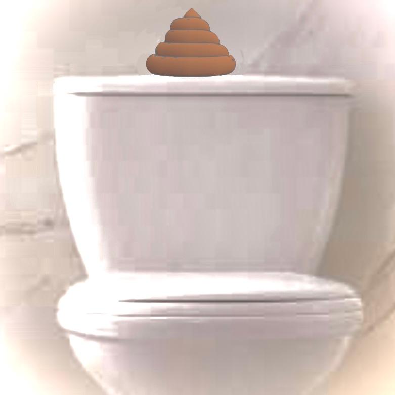 wc water pull or push 3d model