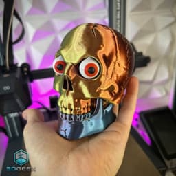 The Staring Skull 3d model
