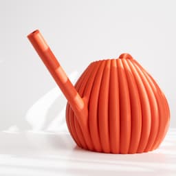 The Vason Watering Can for Houseplants, Flowers, and Succulents | Modern Home Decor for Plants 3d model