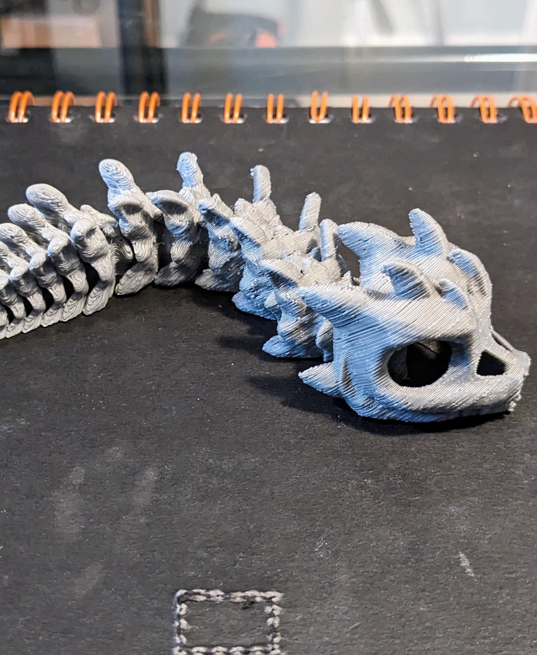 Short Bony Basilisk - Articulated Snap-Flex Fidget (Loose Joints) - This model is really fun! I printed on the Ender EZ Belt in ABS. Quality is a little off probably from years-old ABS. - 3d model