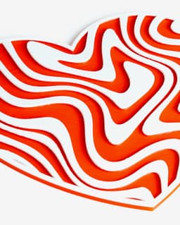 Heart Illusion Coasters 3d model
