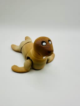 Walrus Collection! 3d model