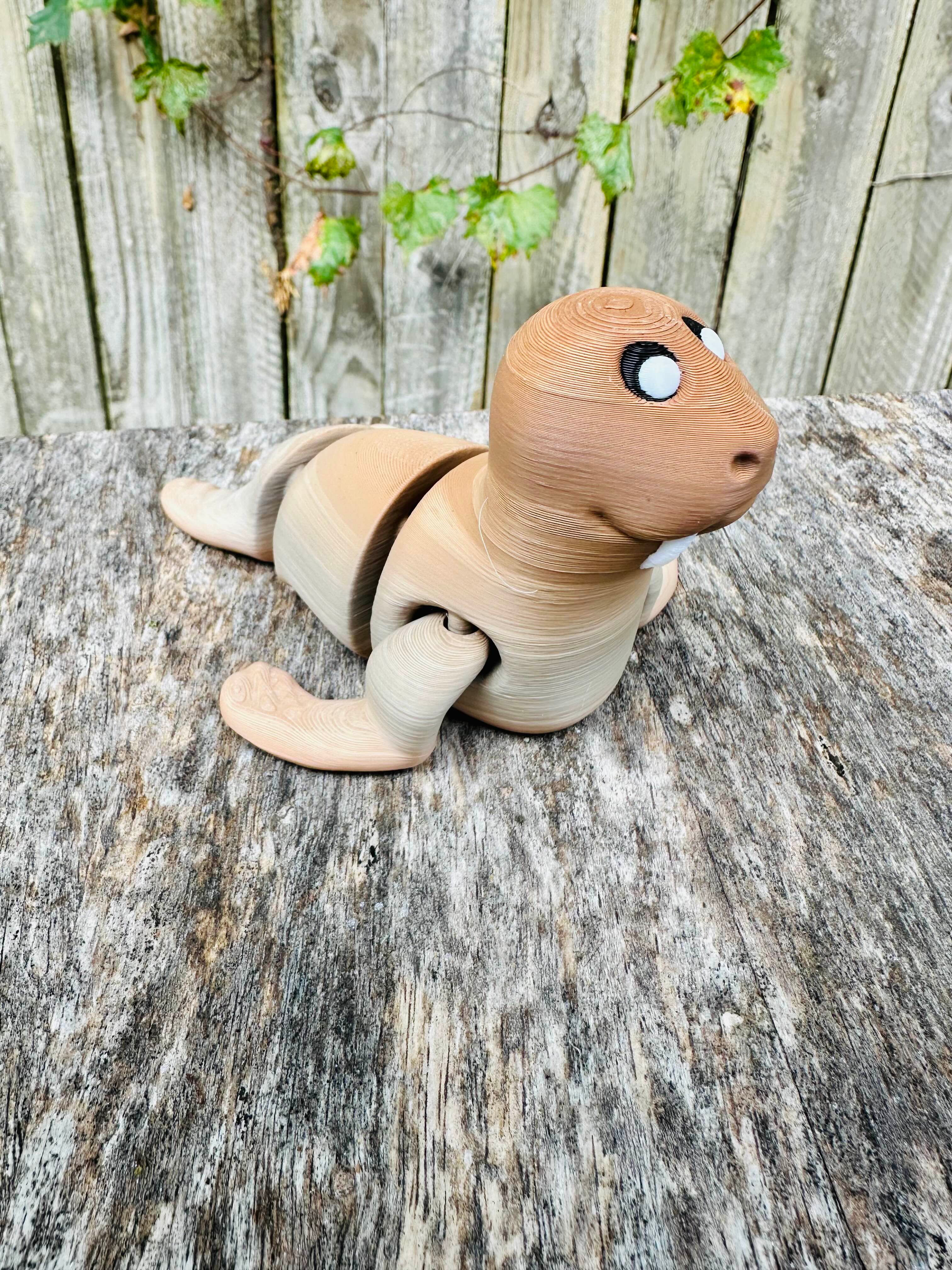 Walrus Collection! 3d model