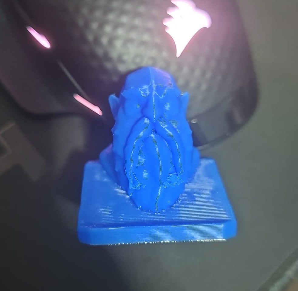 Dwarf Bust | 3D Printable 3d model