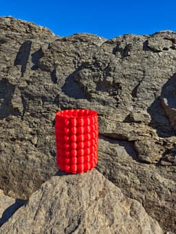 Pulpo vase 3d model