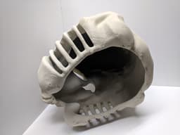 Skull Trooper 3d model