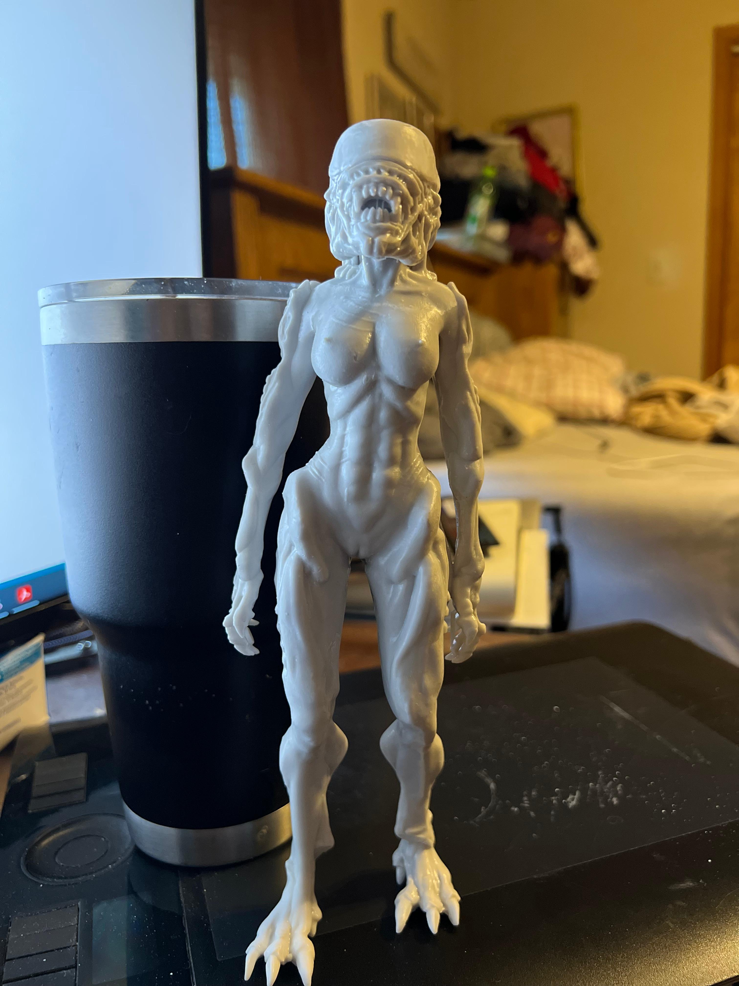 alien-Female-body_Preg.stl 3d model