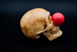 Clown Skull (Rictus) (Pre Supported) 3d model