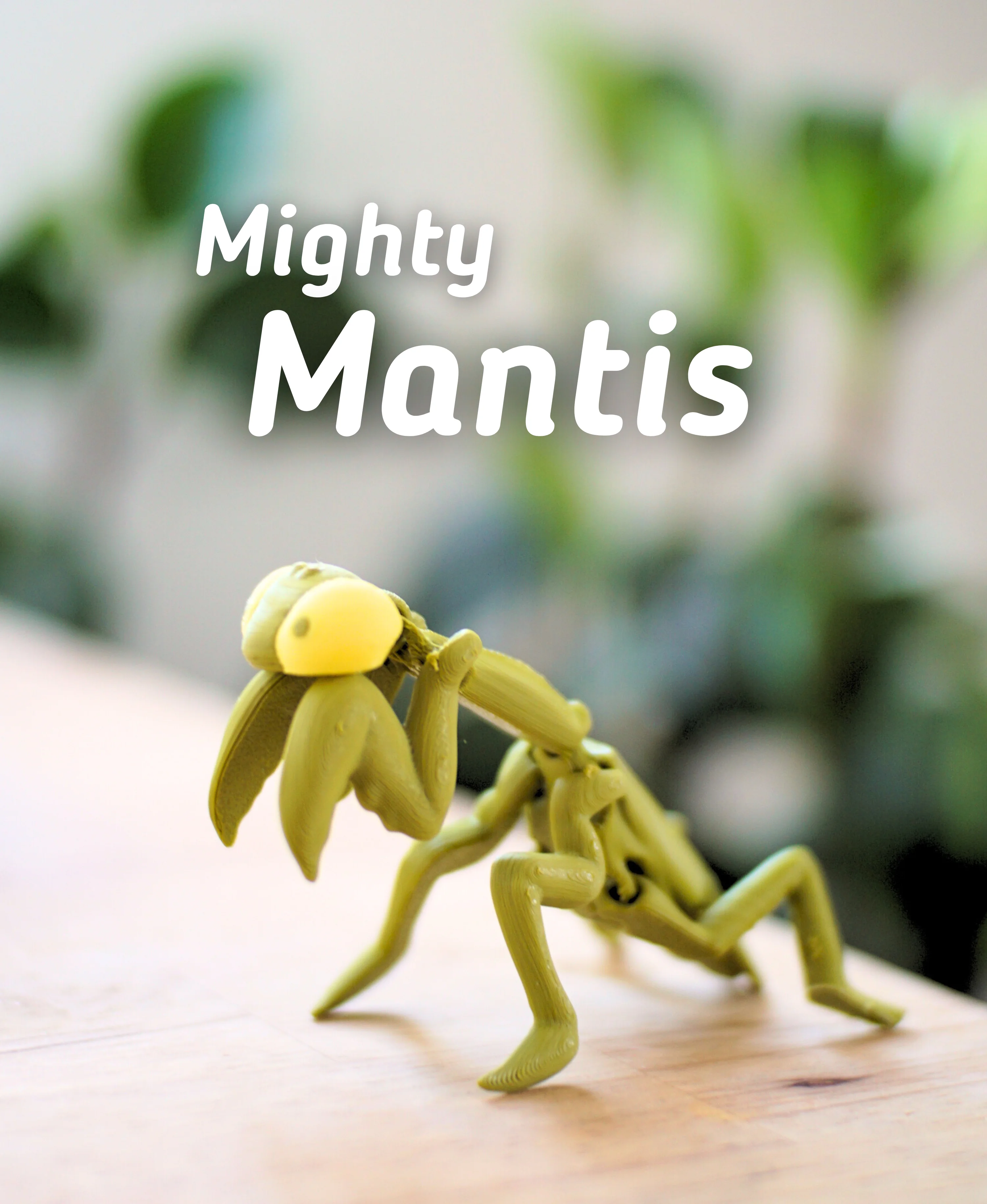 Mighty Mantis Articulated Fidget Praying Mantis - Keychain - Ludo 3D Printed Flexi 3d model