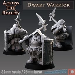 Dwarf Fighter 3d model