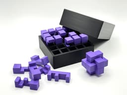25-Piece Burr Puzzle Set with Box 3d model