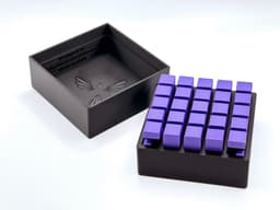 25-Piece Burr Puzzle Set with Box 3d model