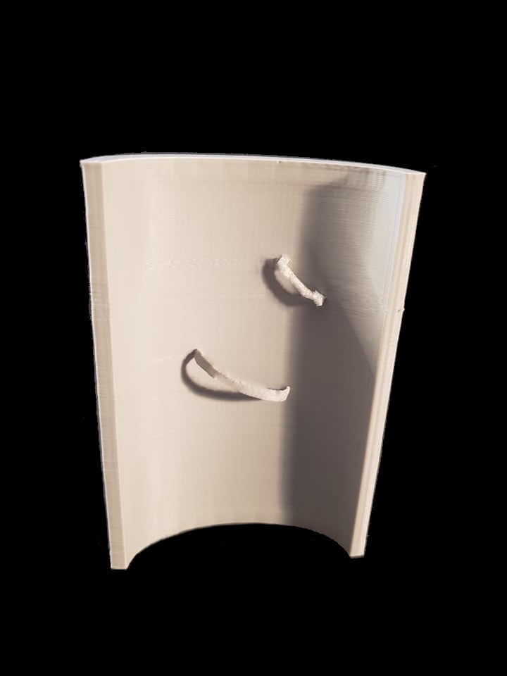 BoarShield.stl 3d model