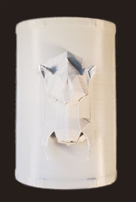 BoarShield.stl 3d model