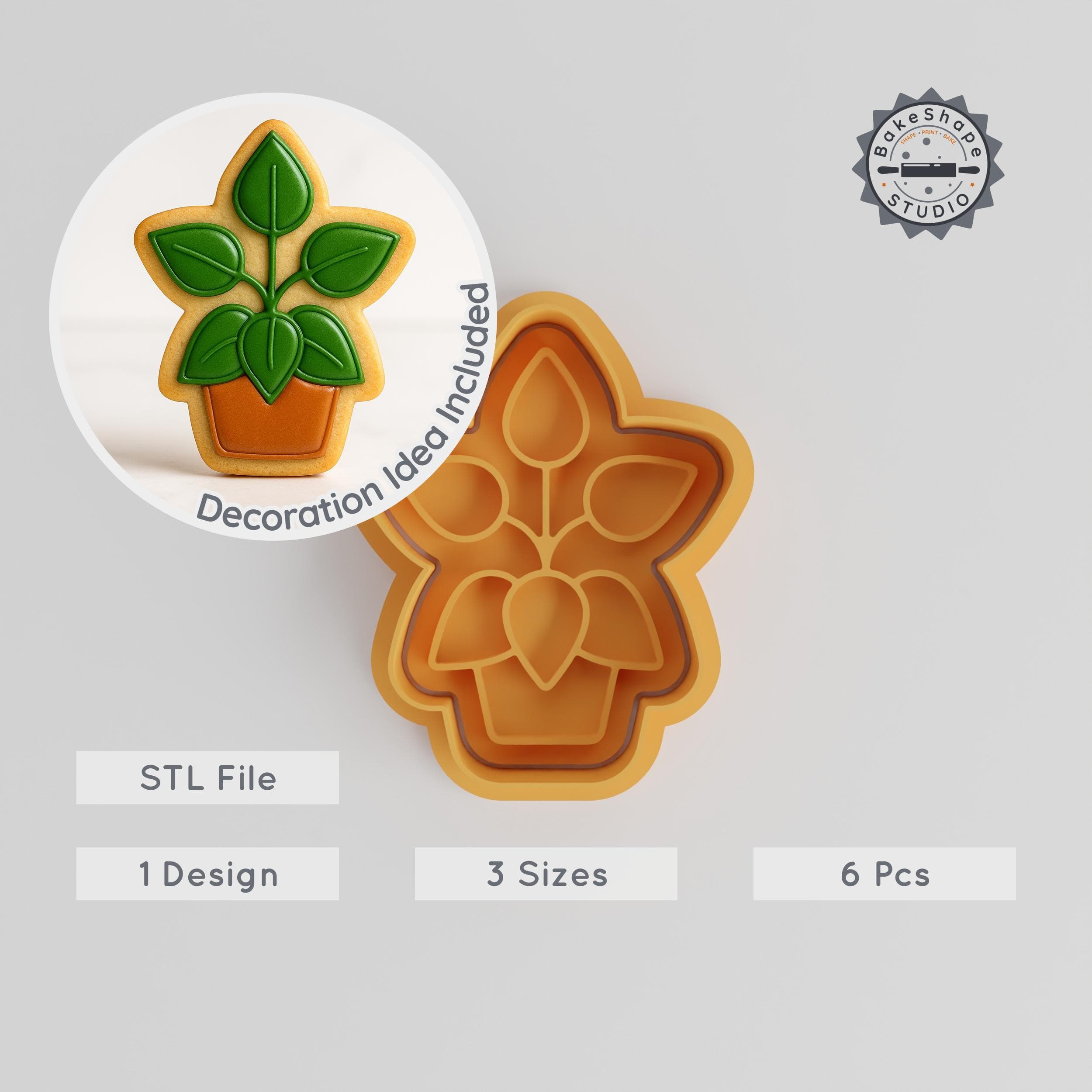 Peperomia Shape Cutter & Stamp, Cookie Fondant Set, Plant Decor, Floral Pot Design, 3 Sizes, 6 Pieces PRODUCT_402 3d model