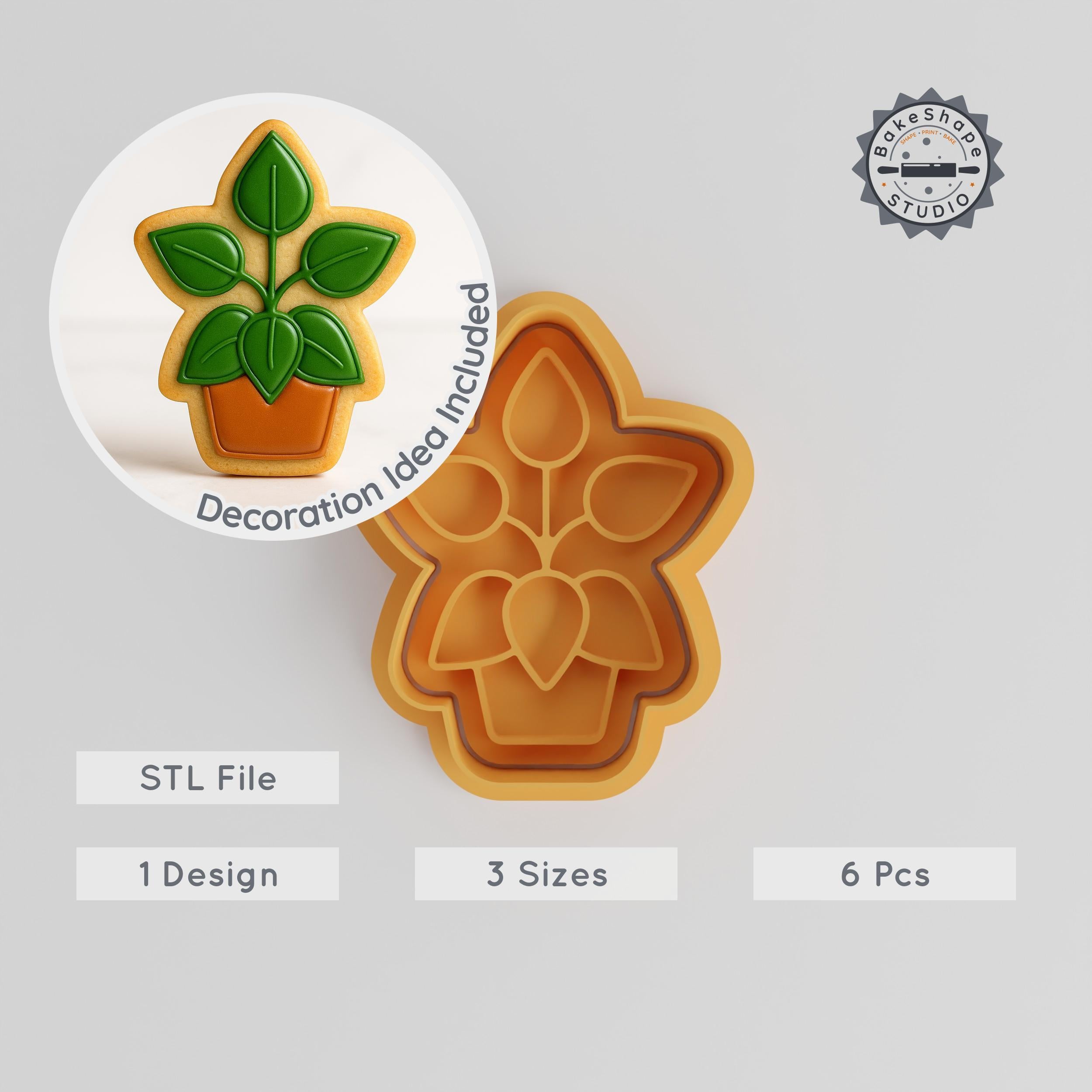 Peperomia Shape Cutter & Stamp, Cookie Fondant Set, Plant Decor, Floral Pot Design, 3 Sizes, 6 Pieces PRODUCT_402 3d model