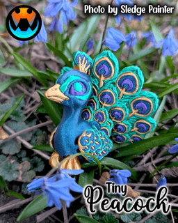 Tiny Peacock 3d model