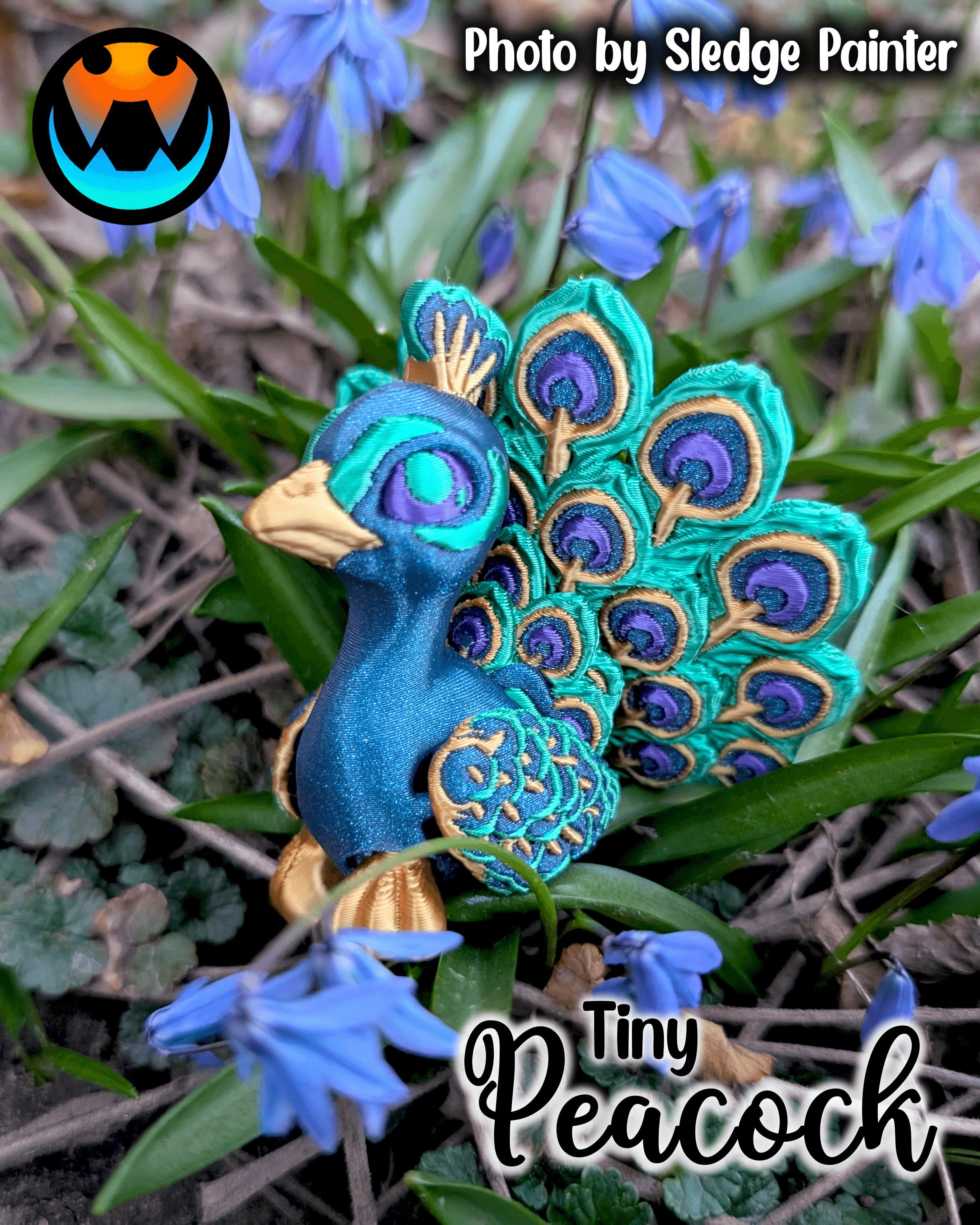 Tiny Peacock 3d model