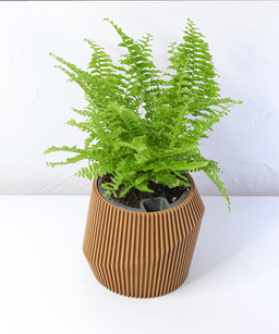 SELF WATERING PLANTER READY TO BE PRINTED IN WOOD PLA - WAVE 3d model