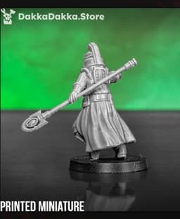 Dawnguard Priest of Dawn 3d model