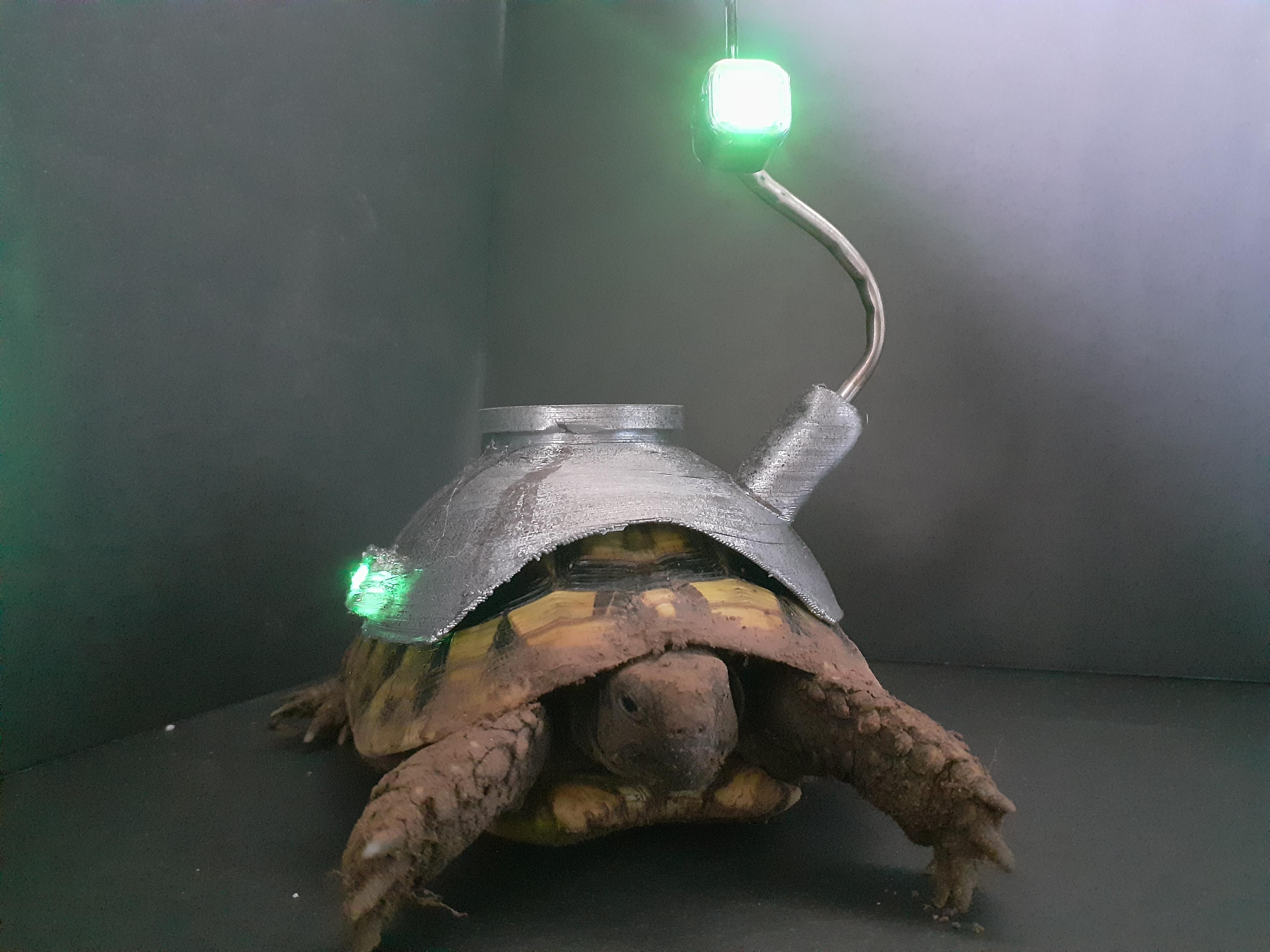 Tortoise of Borg #HalloWearables #HalloWearable 3d model