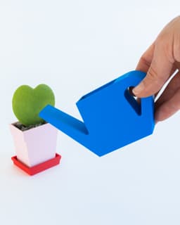Flatland // Classic Watering Can Small 3d model